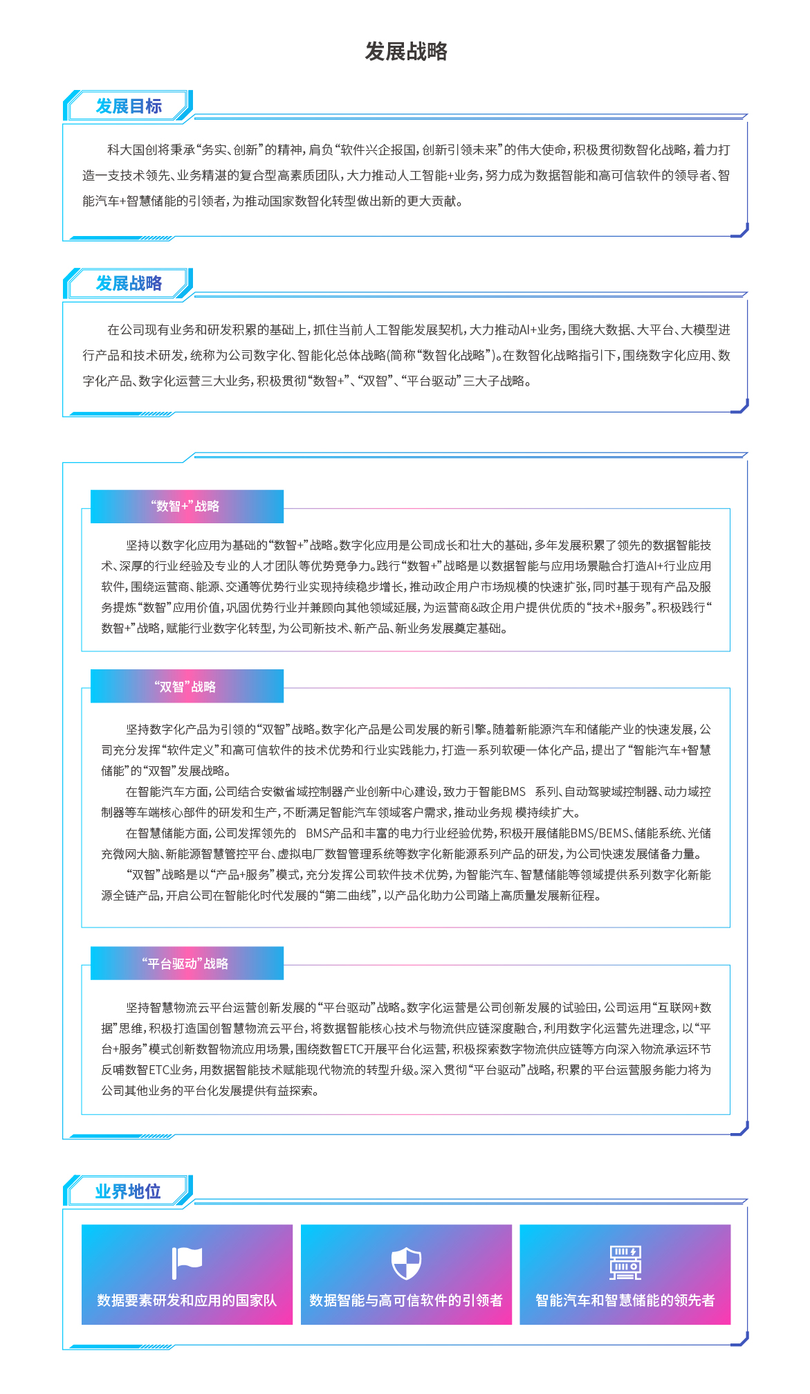 发展战略